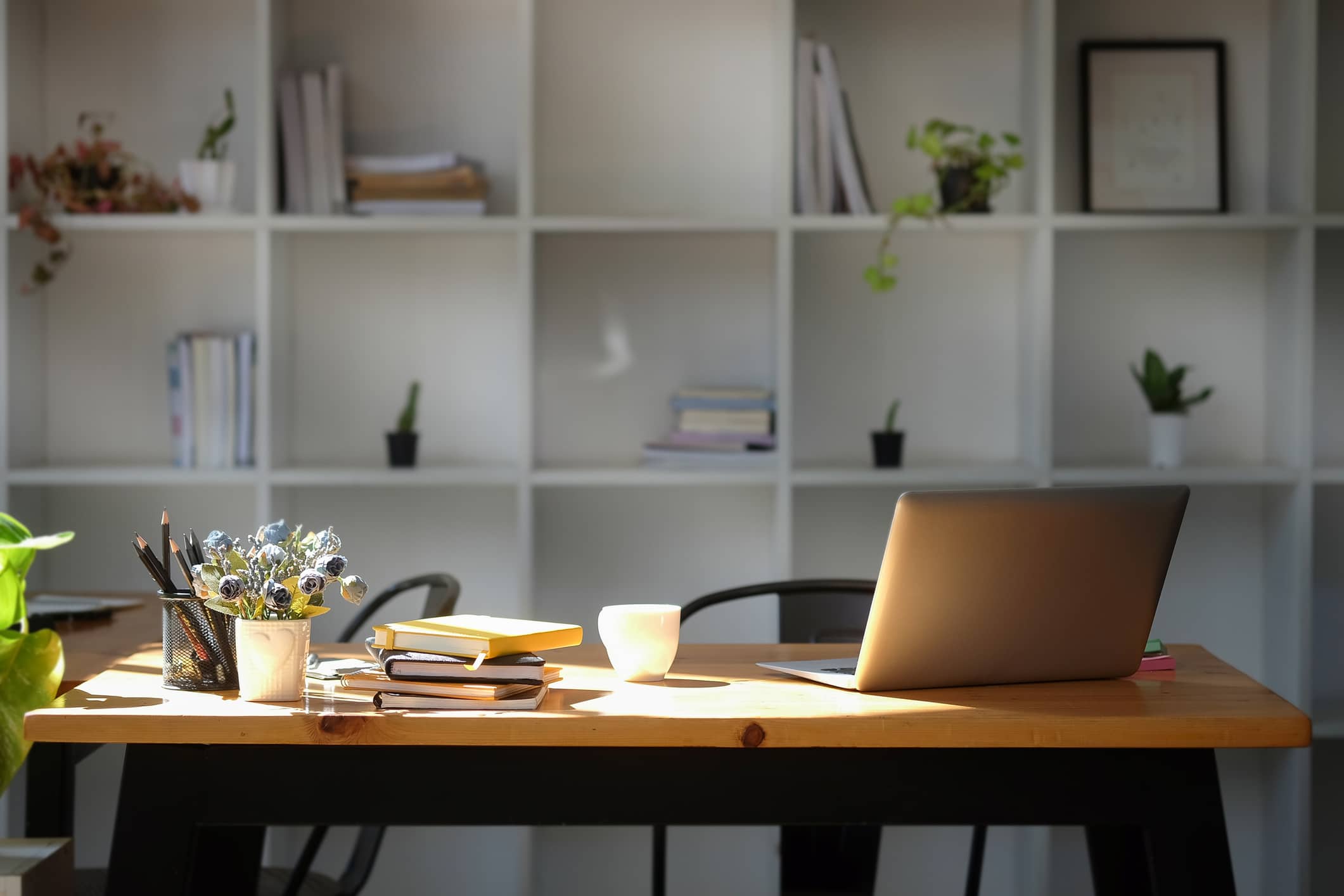 Bright modern office with computer laptop, houseplant and supplies on wooden table